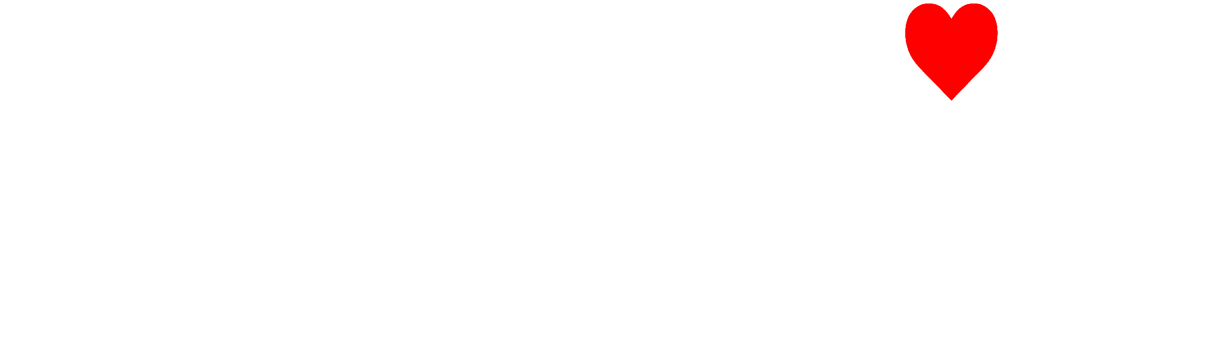 website logo~1
